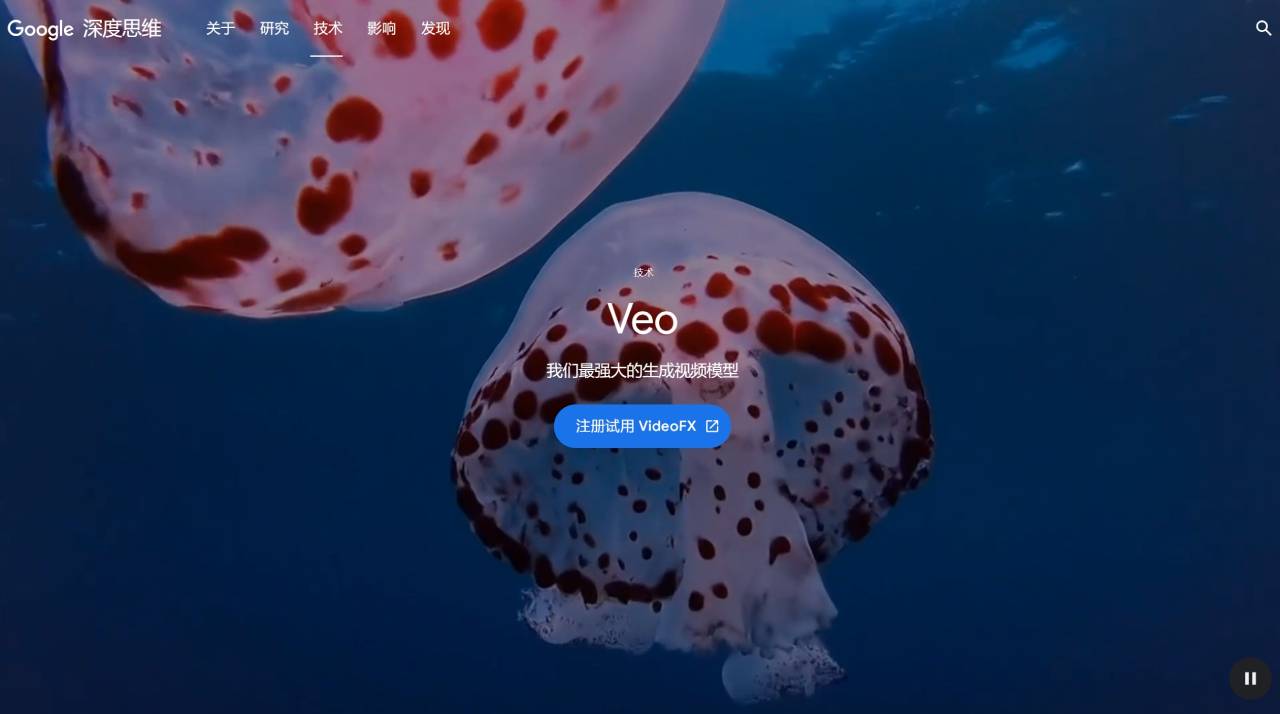 Google Veo(图1) Veo